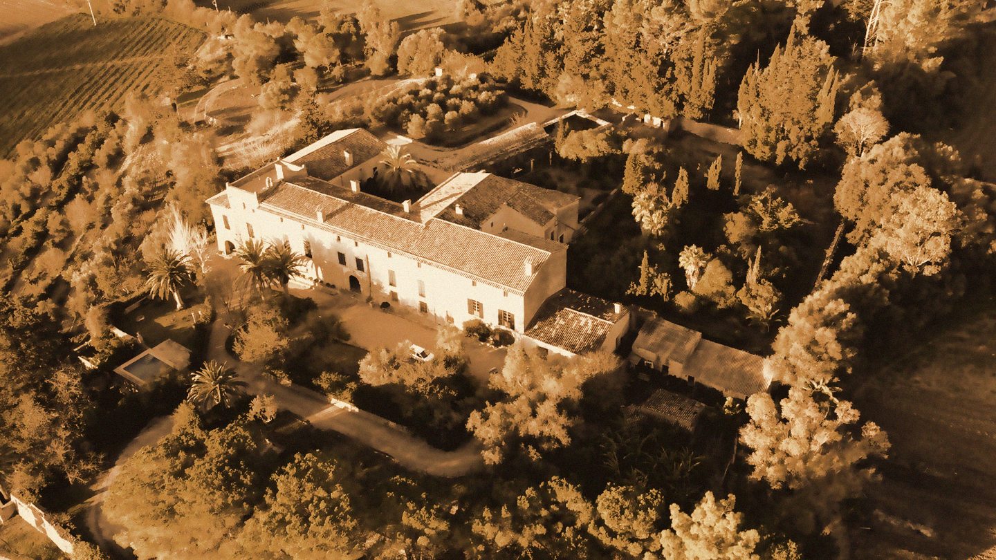 An old estate seen from above, wrapped in green