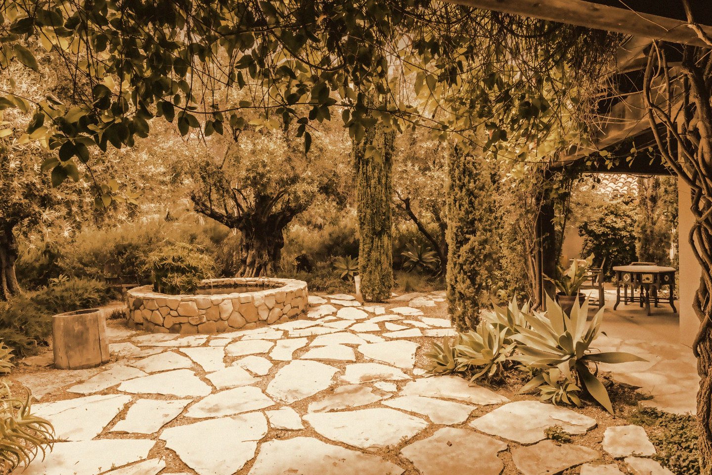 A stone garden courtyard in the shade