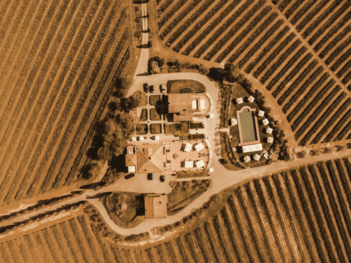 A farmhouse with pool amid vineyards at golden hour, from above
